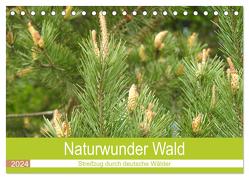 Naturwunder Wald (Tischkalender 2024 DIN A5 quer), CALVENDO Monatskalender von Vier,  Bettina