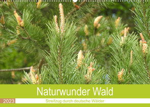 Naturwunder Wald (Wandkalender 2023 DIN A2 quer) von Vier,  Bettina