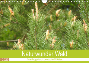 Naturwunder Wald (Wandkalender 2023 DIN A4 quer) von Vier,  Bettina