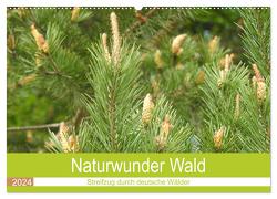 Naturwunder Wald (Wandkalender 2024 DIN A2 quer), CALVENDO Monatskalender von Vier,  Bettina