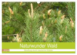 Naturwunder Wald (Wandkalender 2024 DIN A3 quer), CALVENDO Monatskalender von Vier,  Bettina