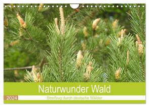 Naturwunder Wald (Wandkalender 2024 DIN A4 quer), CALVENDO Monatskalender von Vier,  Bettina