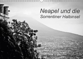 Neapel und die Sorrentiner Halbinsel (Wandkalender 2018 DIN A3 quer) von Reinecke,  Ina