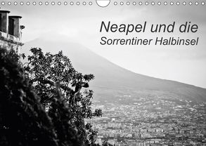 Neapel und die Sorrentiner Halbinsel (Wandkalender 2018 DIN A4 quer) von Reinecke,  Ina