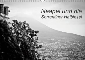 Neapel und die Sorrentiner Halbinsel (Wandkalender 2019 DIN A3 quer) von Reinecke,  Ina