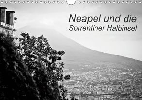 Neapel und die Sorrentiner Halbinsel (Wandkalender 2019 DIN A4 quer) von Reinecke,  Ina