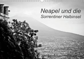 Neapel und die Sorrentiner Halbinsel (Wandkalender 2020 DIN A3 quer) von Reinecke,  Ina