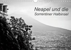 Neapel und die Sorrentiner Halbinsel (Wandkalender 2020 DIN A4 quer) von Reinecke,  Ina