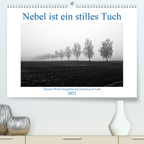 Nebel ist ein stilles Tuch – um Landsberg am Lech (Premium, hochwertiger DIN A2 Wandkalender 2021, Kunstdruck in Hochglanz) von Marten,  Martina