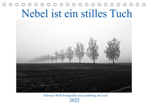 Nebel ist ein stilles Tuch – um Landsberg am Lech (Tischkalender 2022 DIN A5 quer) von Marten,  Martina