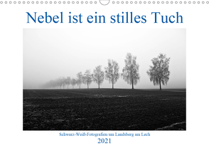 Nebel ist ein stilles Tuch – um Landsberg am Lech (Wandkalender 2021 DIN A3 quer) von Marten,  Martina