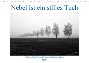 Nebel ist ein stilles Tuch – um Landsberg am Lech (Wandkalender 2021 DIN A4 quer) von Marten,  Martina