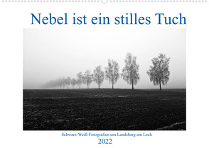 Nebel ist ein stilles Tuch – um Landsberg am Lech (Wandkalender 2022 DIN A2 quer) von Marten,  Martina