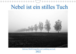 Nebel ist ein stilles Tuch – um Landsberg am Lech (Wandkalender 2022 DIN A4 quer) von Marten,  Martina