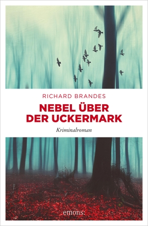 Nebel über der Uckermark von Brandes,  Richard