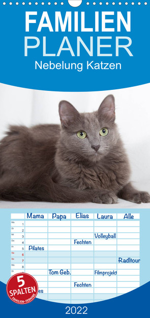 Familienplaner Nebelung Katzen (Wandkalender 2022 , 21 cm x 45 cm, hoch) von Verena Scholze,  Fotodesign