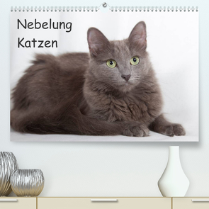 Nebelung Katzen (Premium, hochwertiger DIN A2 Wandkalender 2022, Kunstdruck in Hochglanz) von Verena Scholze,  Fotodesign