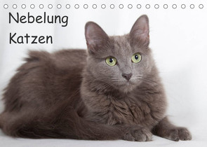 Nebelung Katzen (Tischkalender 2022 DIN A5 quer) von Verena Scholze,  Fotodesign