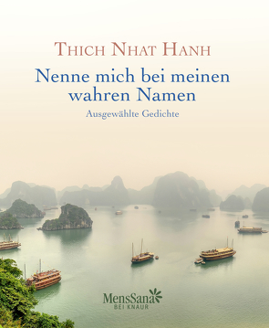 Nenne mich bei meinen wahren Namen von Thich,  Nhat Hanh