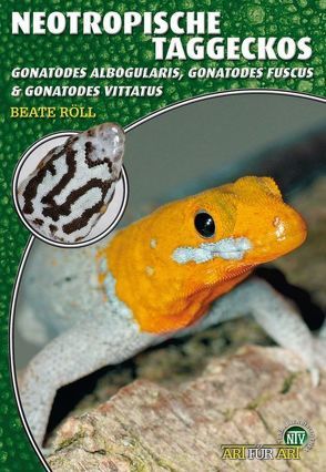 Neotropische Taggeckos von Röll,  Beate