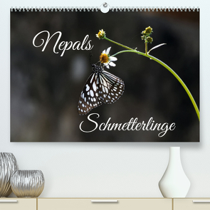 Nepals Schmetterlinge (Premium, hochwertiger DIN A2 Wandkalender 2022, Kunstdruck in Hochglanz) von Hennighaußen,  Andreas