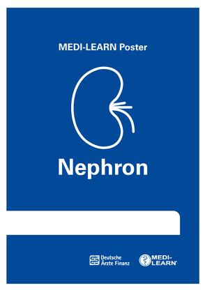 Nephron-Poster von Bormann,  Thomas, Kreissl,  Denise, Wesseler,  Dr. med. Claas