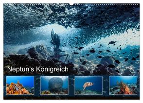 Neptun’s Königreich (Wandkalender 2024 DIN A2 quer), CALVENDO Monatskalender von & Tilo Kühnast- naturepics,  Yvonne