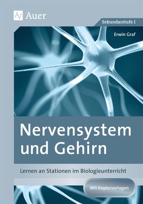 Nervensystem und Gehirn von Graf,  Erwin