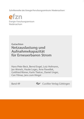 Netzauslastung und Aufnahmekapazität für Erneuerbaren Strom von Beck,  Hans-Peter