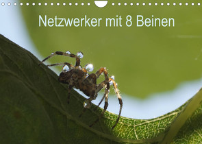 Netzwerker mit 8 Beinen (Wandkalender 2022 DIN A4 quer) von Enkemeier,  Sigrid