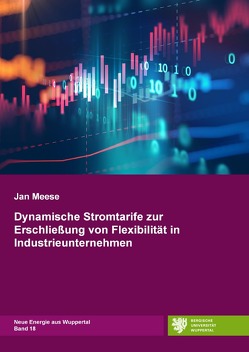 Neue Energie aus Wuppertal / Dynamische Stromtarife zur Erschließung von Flexibilität in Industrieunternehmen von Meese,  Jan