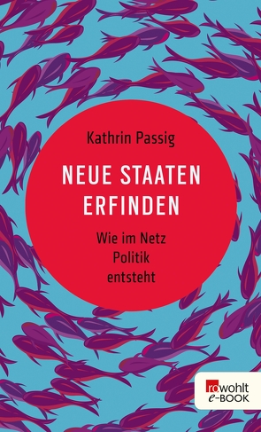 Neue Staaten erfinden von Passig,  Kathrin