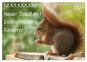 Neuer Spaß mit Eichhörnchen-Kindern (Tischkalender 2024 DIN A5 quer), CALVENDO Monatskalender von Adam,  Heike