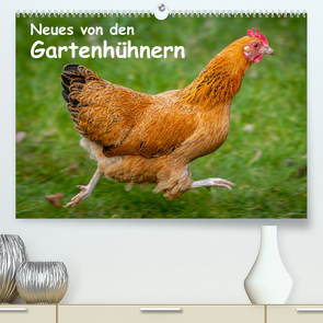 Neues von den Gartenhühnern (Premium, hochwertiger DIN A2 Wandkalender 2023, Kunstdruck in Hochglanz) von Berkenkamp,  Britta