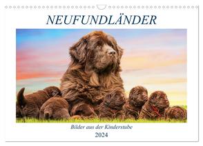 Neufundländer – Bilder aus der Kinderstube (Wandkalender 2024 DIN A3 quer), CALVENDO Monatskalender von Starick,  Sigrid