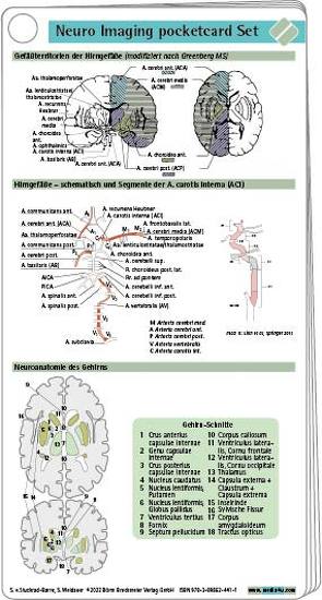 Neuro Imaging pocketcard Set von Stuckrad-Barre,  Sebastian von, Weidauer,  Stefan