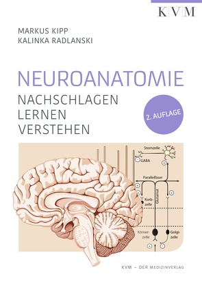 Neuroanatomie von Kipp,  Markus, Radlanski,  Kalinka