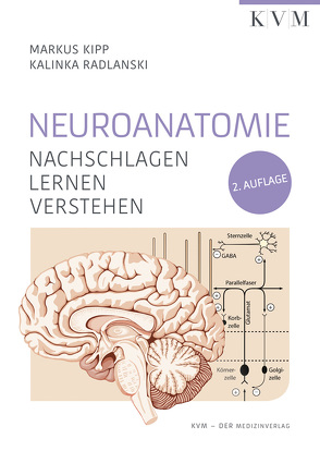 Neuroanatomie von Kipp,  Markus, Radlanski,  Kalinka