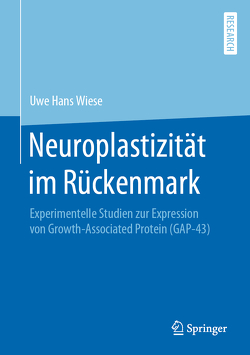 Neuroplastizität im Rückenmark von Wiese,  Uwe Hans