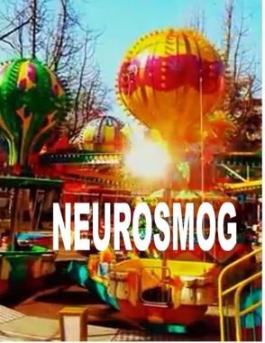 Neurosmog von De Toys,  Tom, G&GN Institut