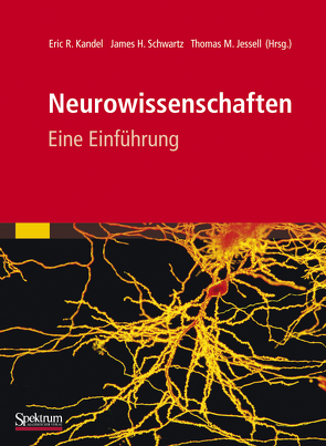 Neurowissenschaften von Jessell,  Thomas, Kandel,  Eric, Schwartz,  James