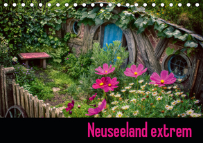 Neuseeland extrem (Tischkalender 2020 DIN A5 quer) von Waldhelm,  Jutta