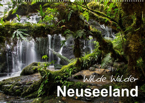 Neuseeland – Wilde Wälder (Wandkalender 2023 DIN A2 quer) von BÖHME,  Ferry