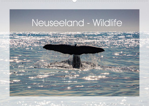 Neuseeland – Wildlife (Wandkalender 2022 DIN A2 quer) von Schürholz,  Peter