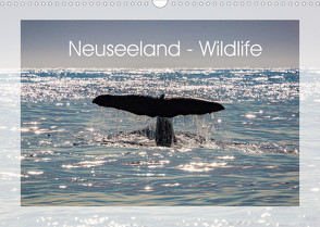 Neuseeland – Wildlife (Wandkalender 2022 DIN A3 quer) von Schürholz,  Peter