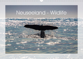 Neuseeland – Wildlife (Wandkalender 2023 DIN A3 quer) von Schürholz,  Peter