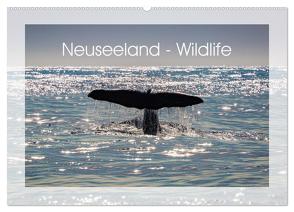 Neuseeland – Wildlife (Wandkalender 2024 DIN A2 quer), CALVENDO Monatskalender von Schürholz,  Peter