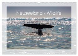 Neuseeland – Wildlife (Wandkalender 2024 DIN A3 quer), CALVENDO Monatskalender von Schürholz,  Peter