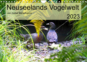 Neuseelands Vogelwelt (Wandkalender 2023 DIN A4 quer) von Bürschgens,  Isabel