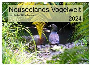 Neuseelands Vogelwelt (Wandkalender 2024 DIN A3 quer), CALVENDO Monatskalender von Bürschgens,  Isabel